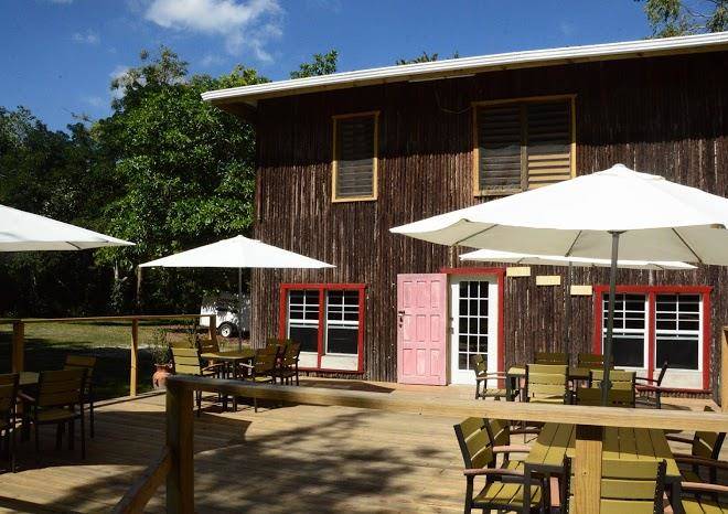 Howler Monkey Resort Image