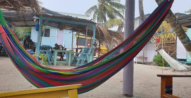 Tropical Oasis Image