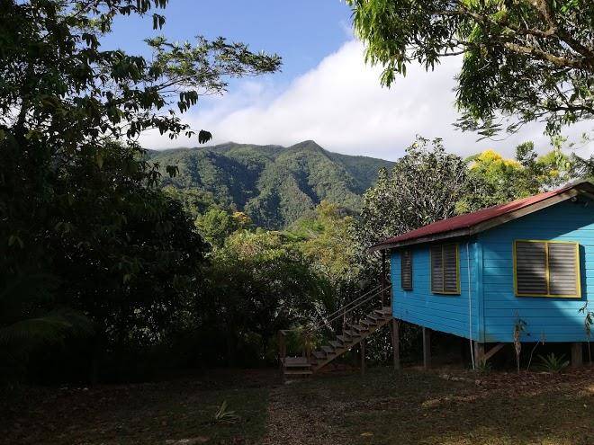 The toucan ridge ecology and education society
