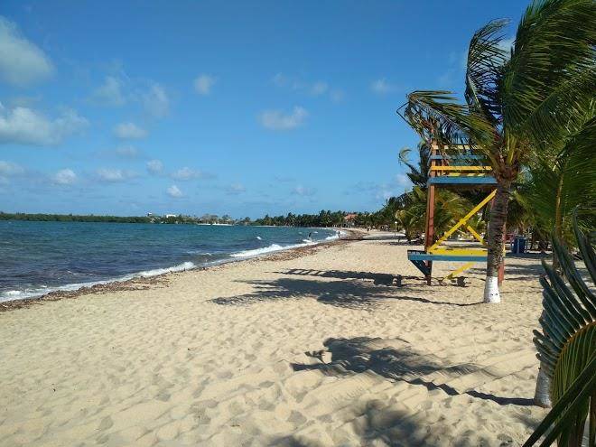 Deb & Dave's Last Resort Image