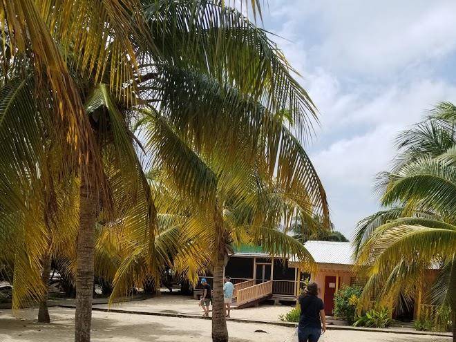 Trade Winds Hotel Image