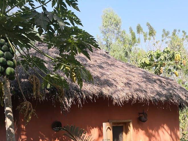 Ecoferme maktub chez armand