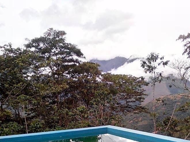 Mariposa azul hospedaje