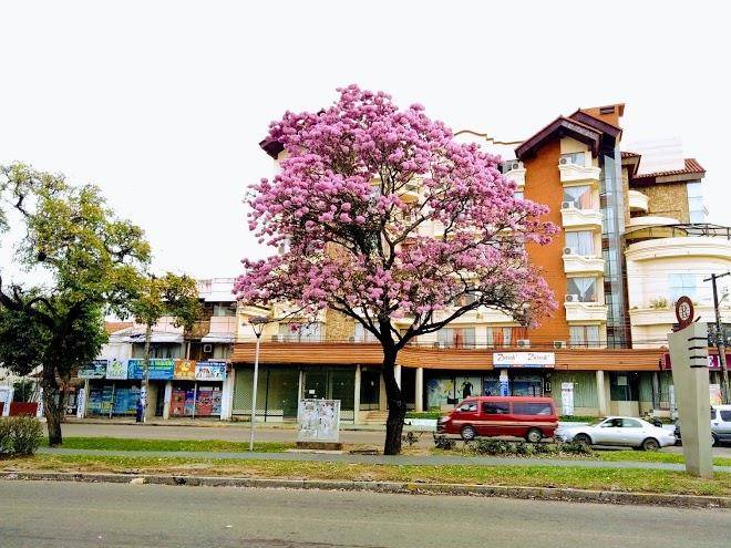 Hotel suiza