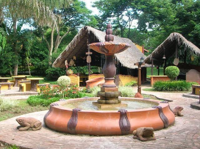 Rio selva