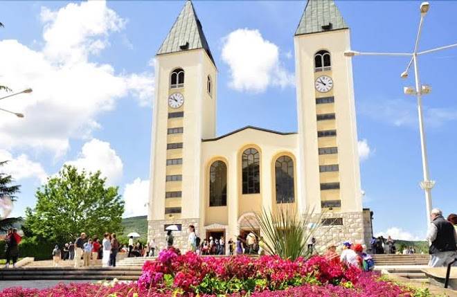 Pansion Petkovic Image