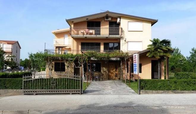 Pansion Turudic Image