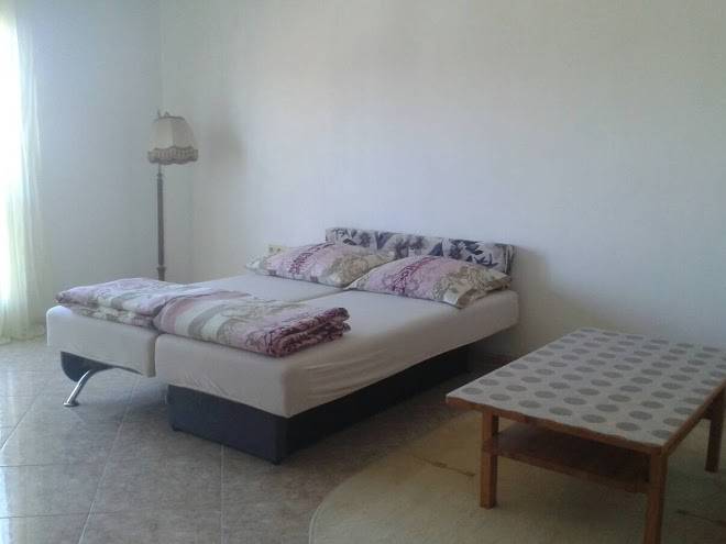 Prenociste Orhideja Image