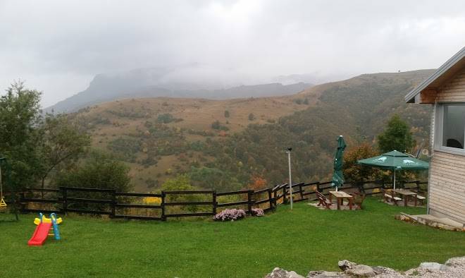 Vila bjelasnica