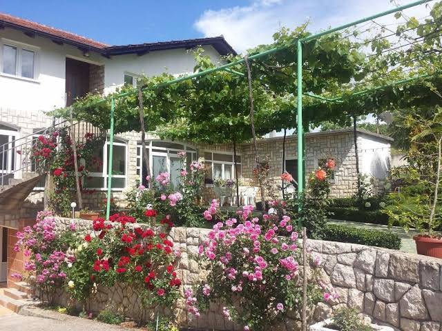 Pansion Pero Elez Image