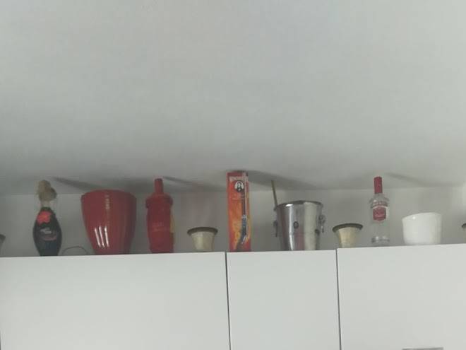 Prenociste nevesinje