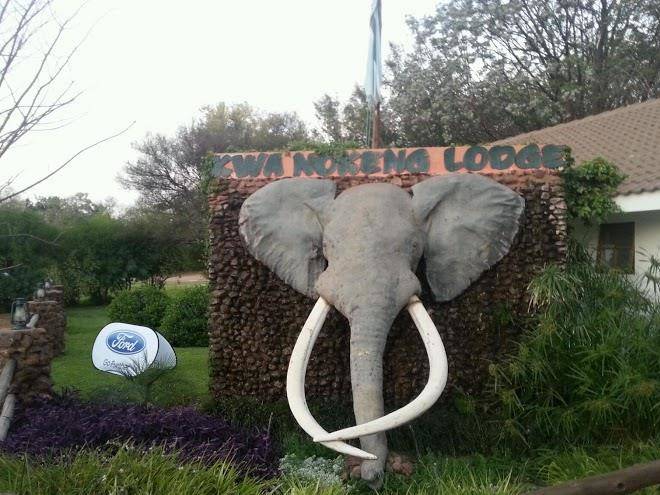 Kwa nokeng lodge