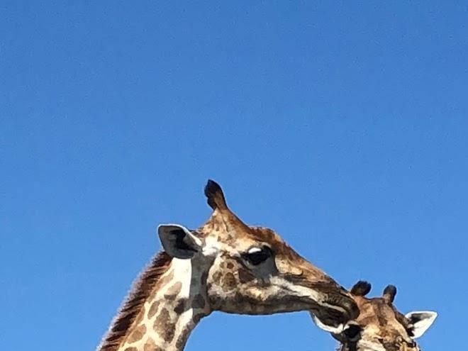 Khama rhino sanctuary
