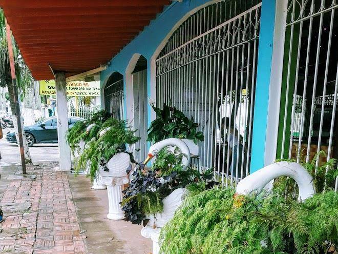 Hotel las palmeiras