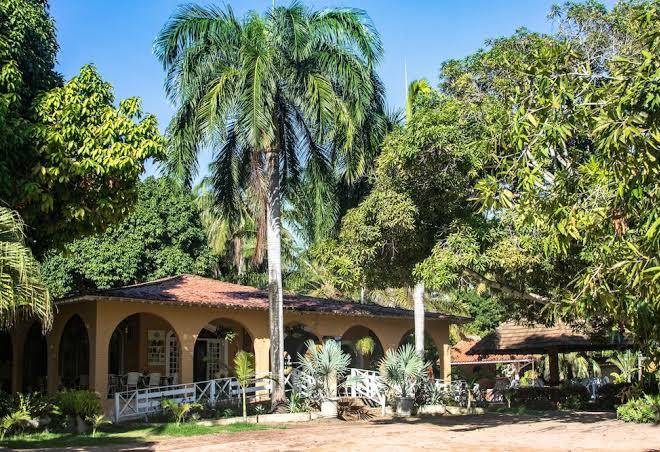 Paraiso dos coqueirais