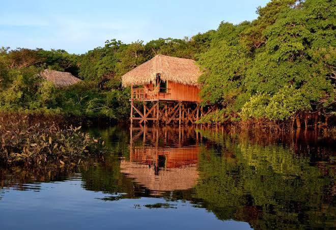Juma amazon lodge