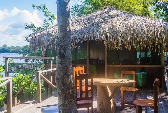 Hotel seringal jungle lodge