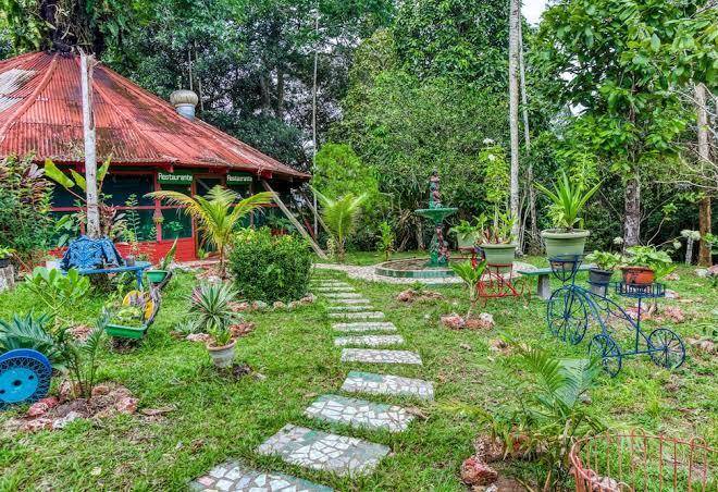 Hotel amazon jungle