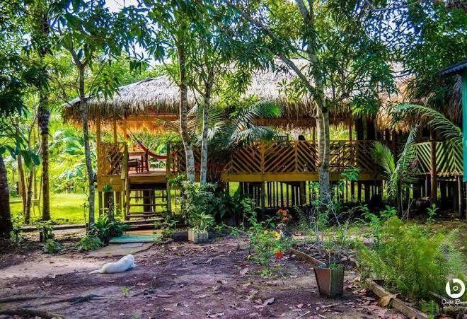 Pousada de selva jacare