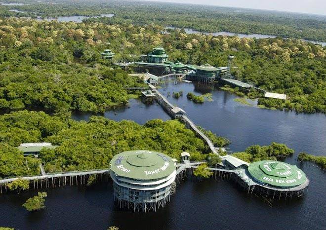 Ariau amazon towers