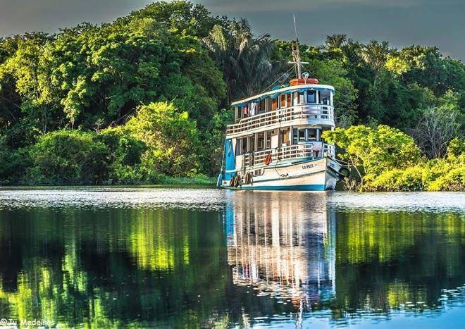 Lo peix amazon jungle trip