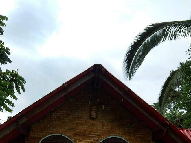 Caboco Chibata Image