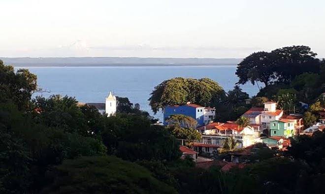 Amarelo Do Morro Image