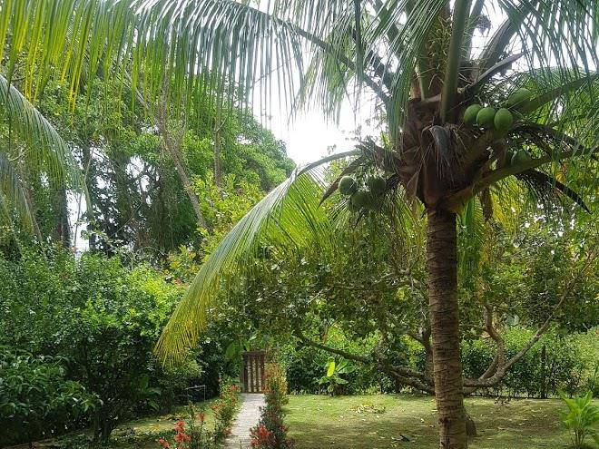 Charme Do Dido Image