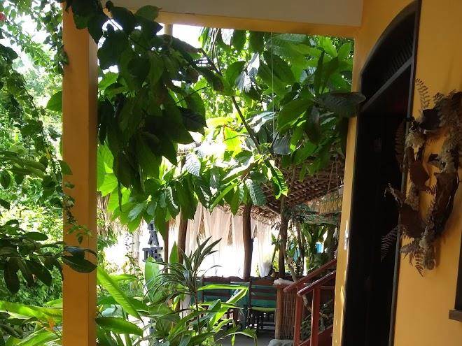 Posada ilha de boi peba