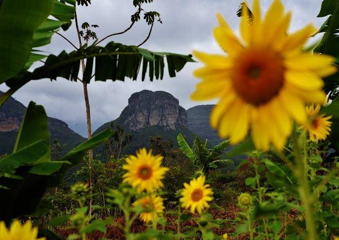 Sitio aurora agroecologia