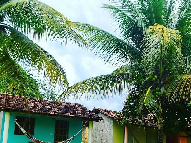 Hospedaria caribe