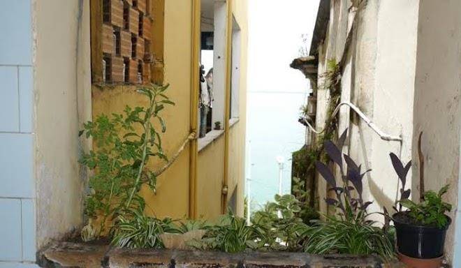 Janelas da gamboa