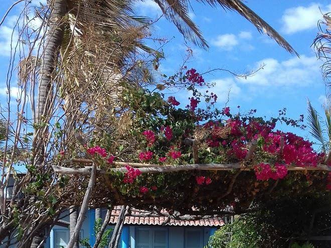 Tudo azul chales maris