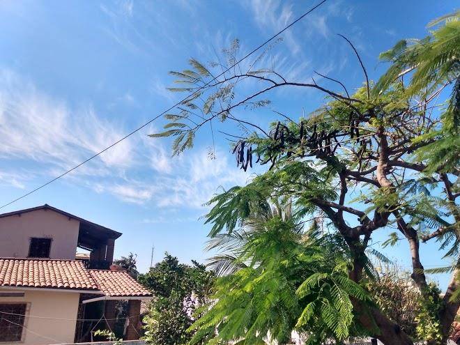 Pousada blue day