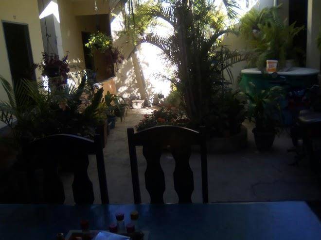 Hotel alencar