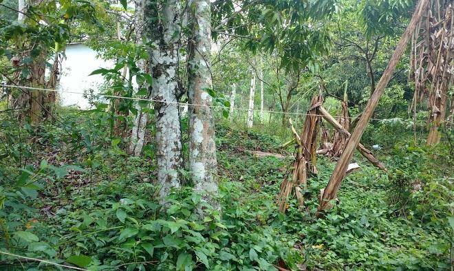 Sitio brejo das pedras