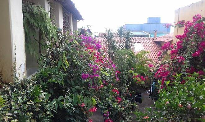 Hotel Sayonara Image