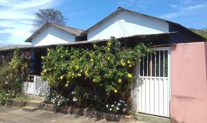 Flor E Ser No Cerrado Image