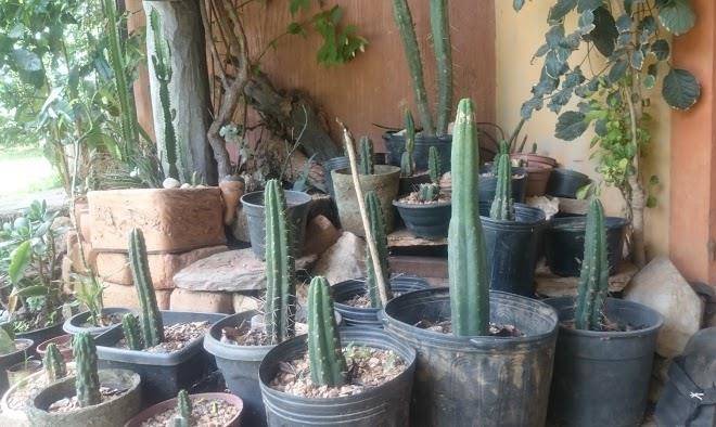 Spa do espirito