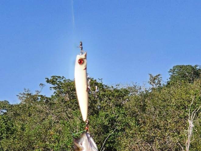 Aguas Do Araguaia Image