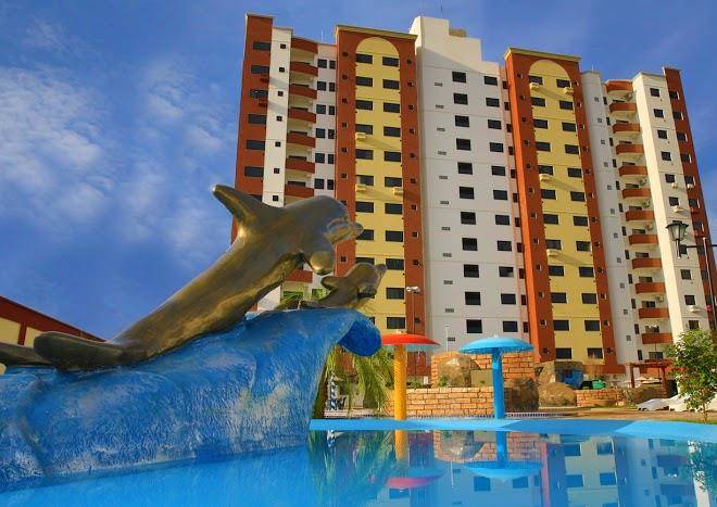 Golden dolphin supreme