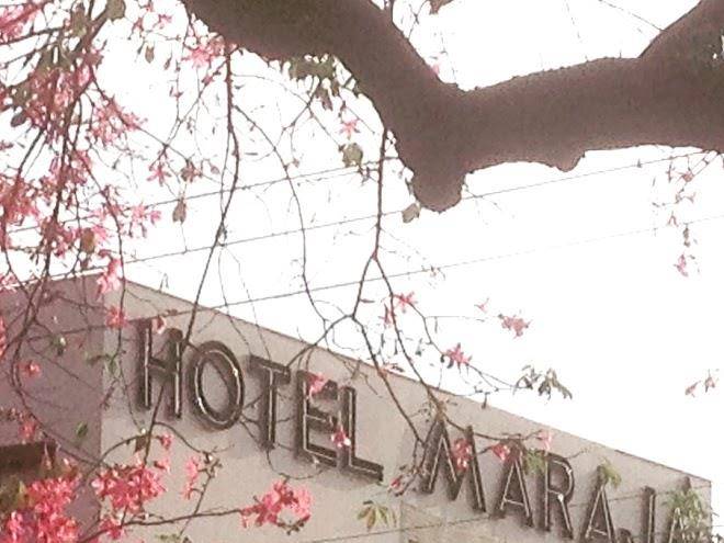 Hotel maraja