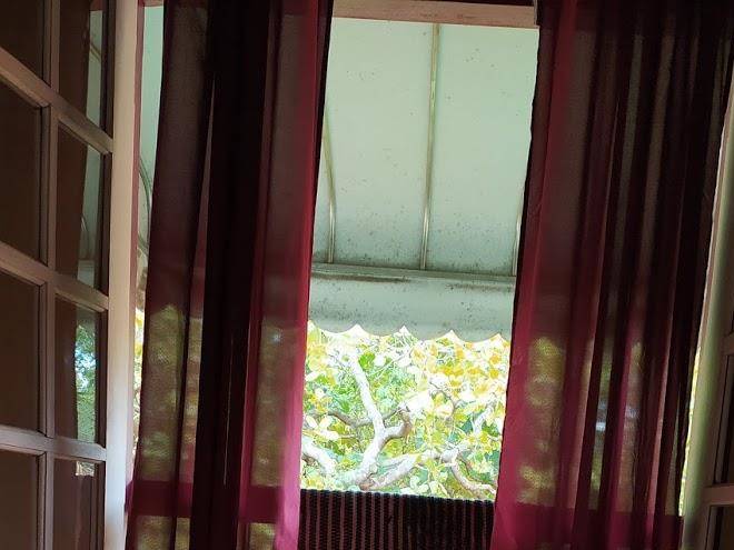 Las casitas da vovo