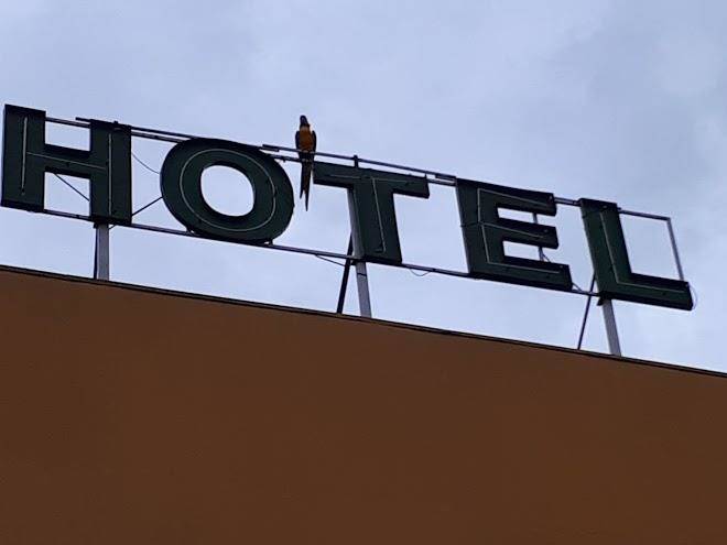 Varandas Palace Hotel Image