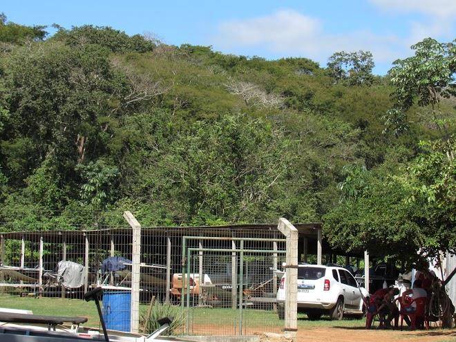 Tuiuiu pantanal hotel