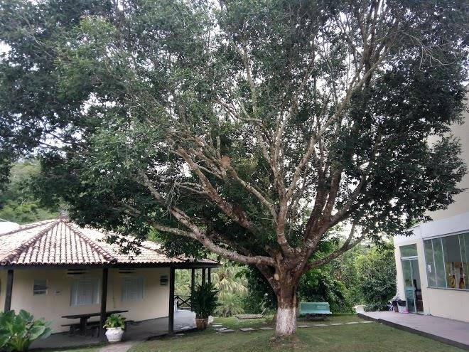 Estancia rosa e branca