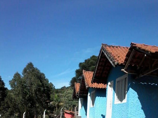 Chales tia nirta