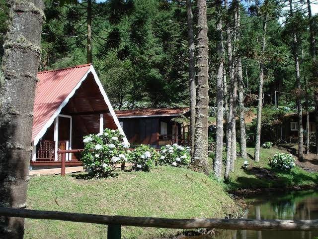 Hotel fazenda floresta negra