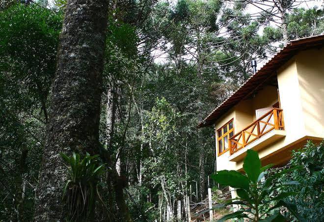 Pousada chale da floresta