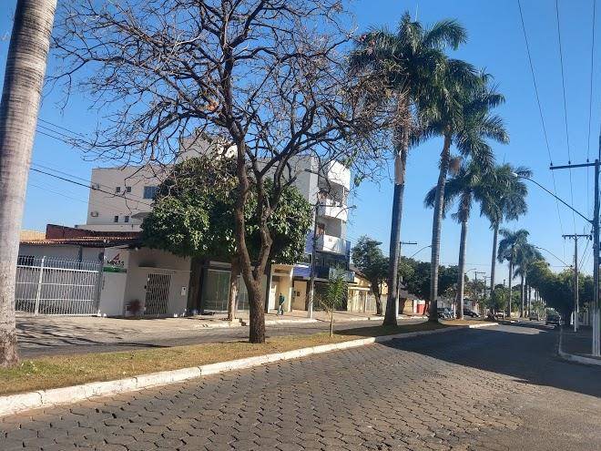 Centerminas palace hotel